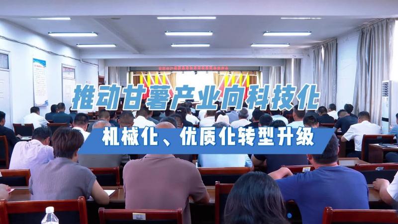 【邹视频·新闻】36秒｜推动甘薯产业向科技化、机械化、优质化转型升级